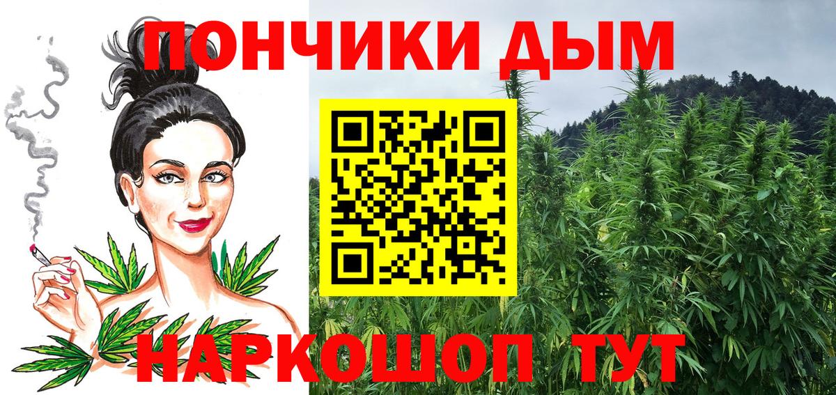 Конопля планчик Губкин